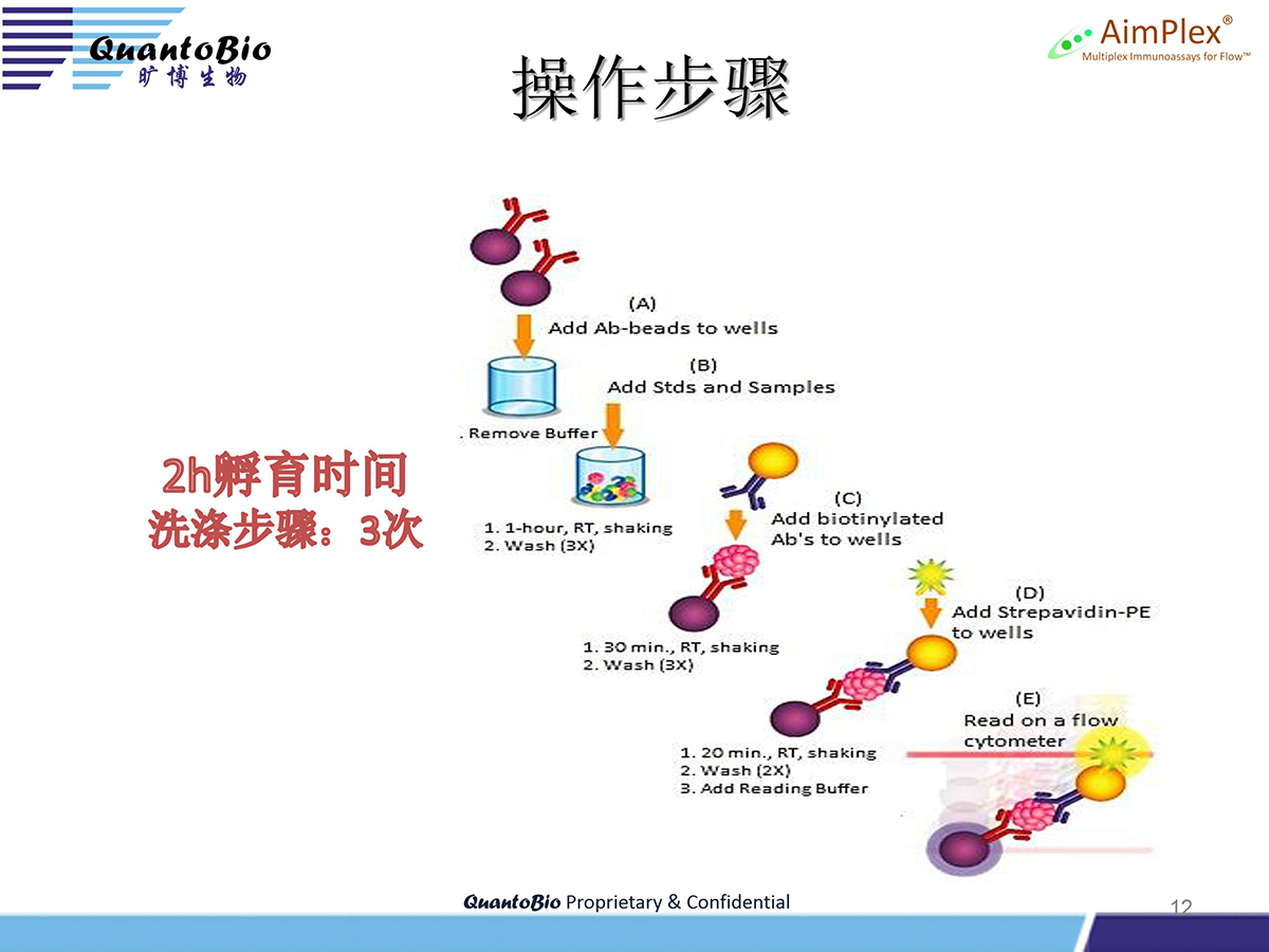 AimPlex流式高通量多因子检测技术介绍最新-hy -2.27_12.jpg